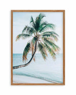 Maldivian Palm I Art Print