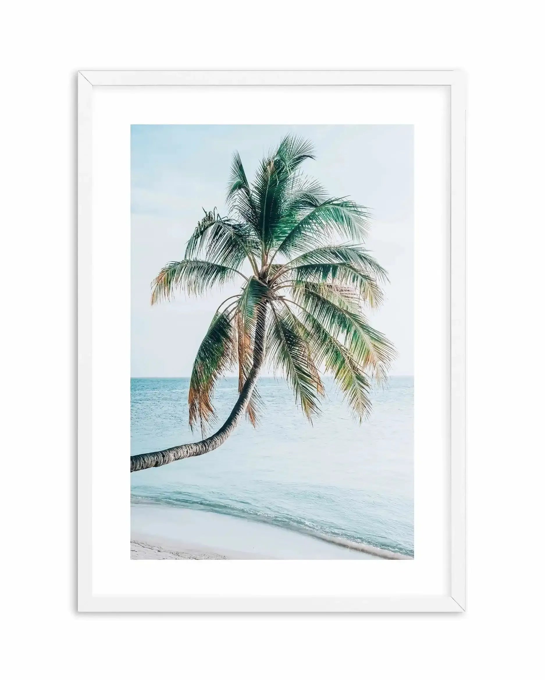 Maldivian Palm I Art Print-PRINT-Olive et Oriel-Olive et Oriel-A5 | 5.8" x 8.3" | 14.8 x 21cm-White-With White Border-Buy-Australian-Art-Prints-Online-with-Olive-et-Oriel-Your-Artwork-Specialists-Austrailia-Decorate-With-Coastal-Photo-Wall-Art-Prints-From-Our-Beach-House-Artwork-Collection-Fine-Poster-and-Framed-Artwork