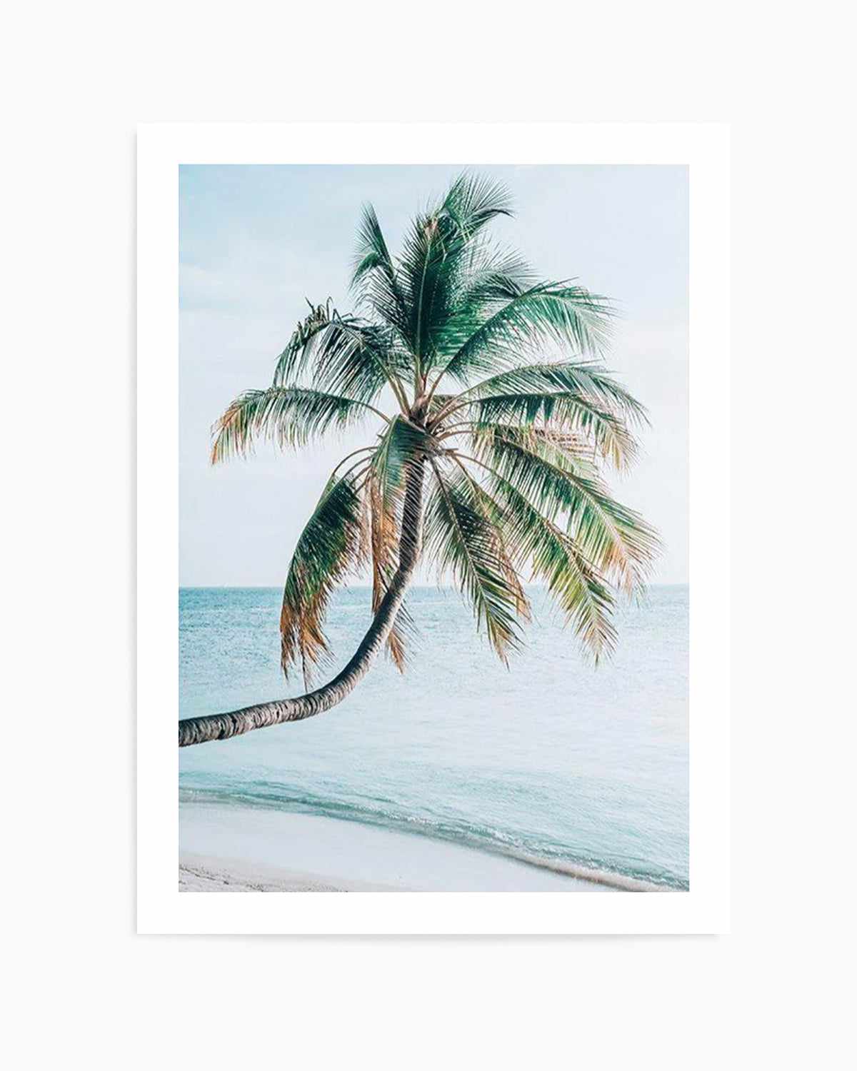 Maldivian Palm I Art Print