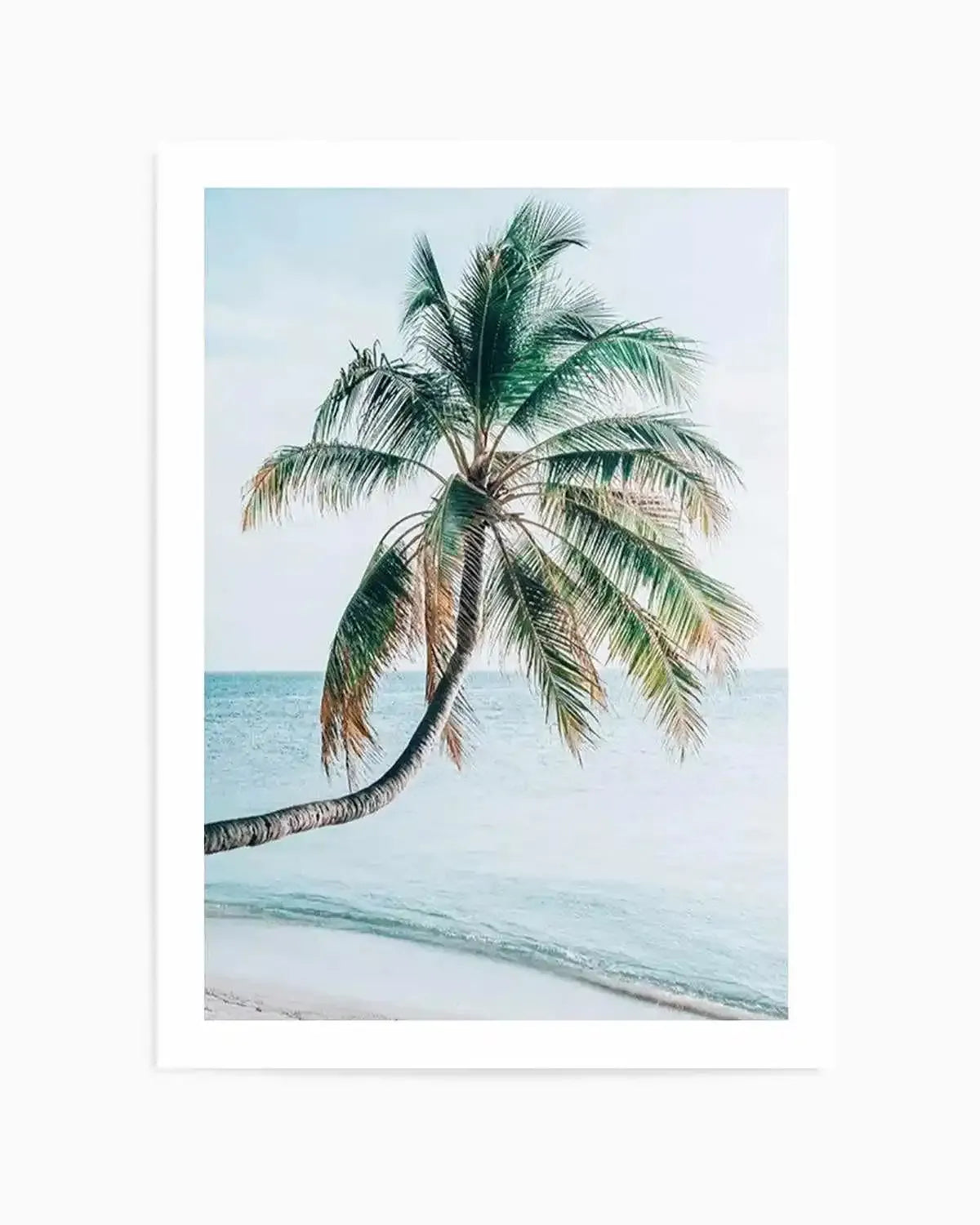 Maldivian Palm I Art Print from Olive et Oriel where you can shop wallpaper and artworks online