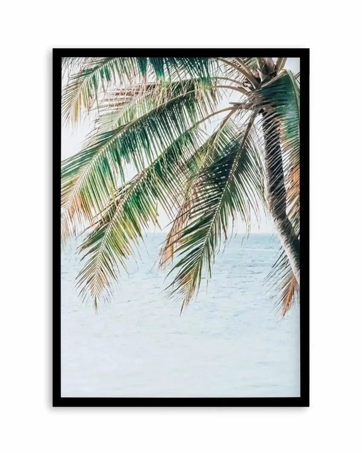 Maldivian Palm II Art Print from Olive et Oriel where you can shop wallpaper and artworks online