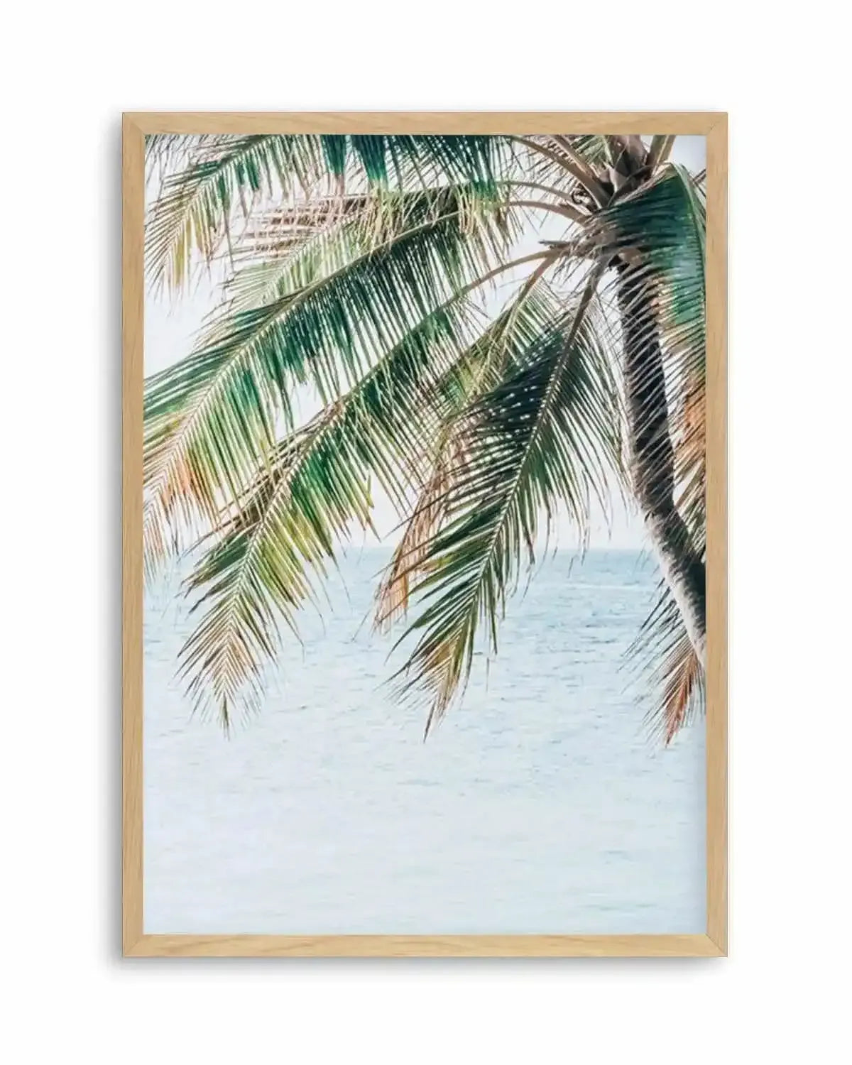 Maldivian Palm II Art Print from Olive et Oriel where you can shop wallpaper and artworks online