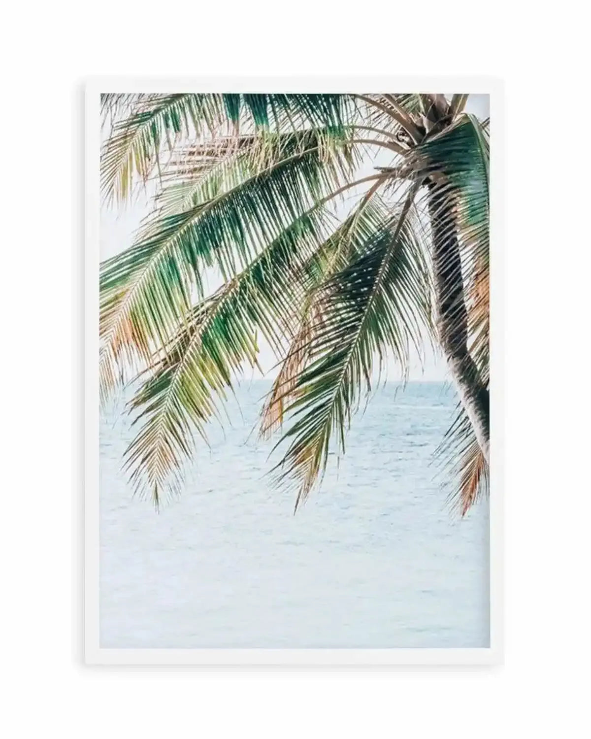 Maldivian Palm II Art Print from Olive et Oriel where you can shop wallpaper and artworks online