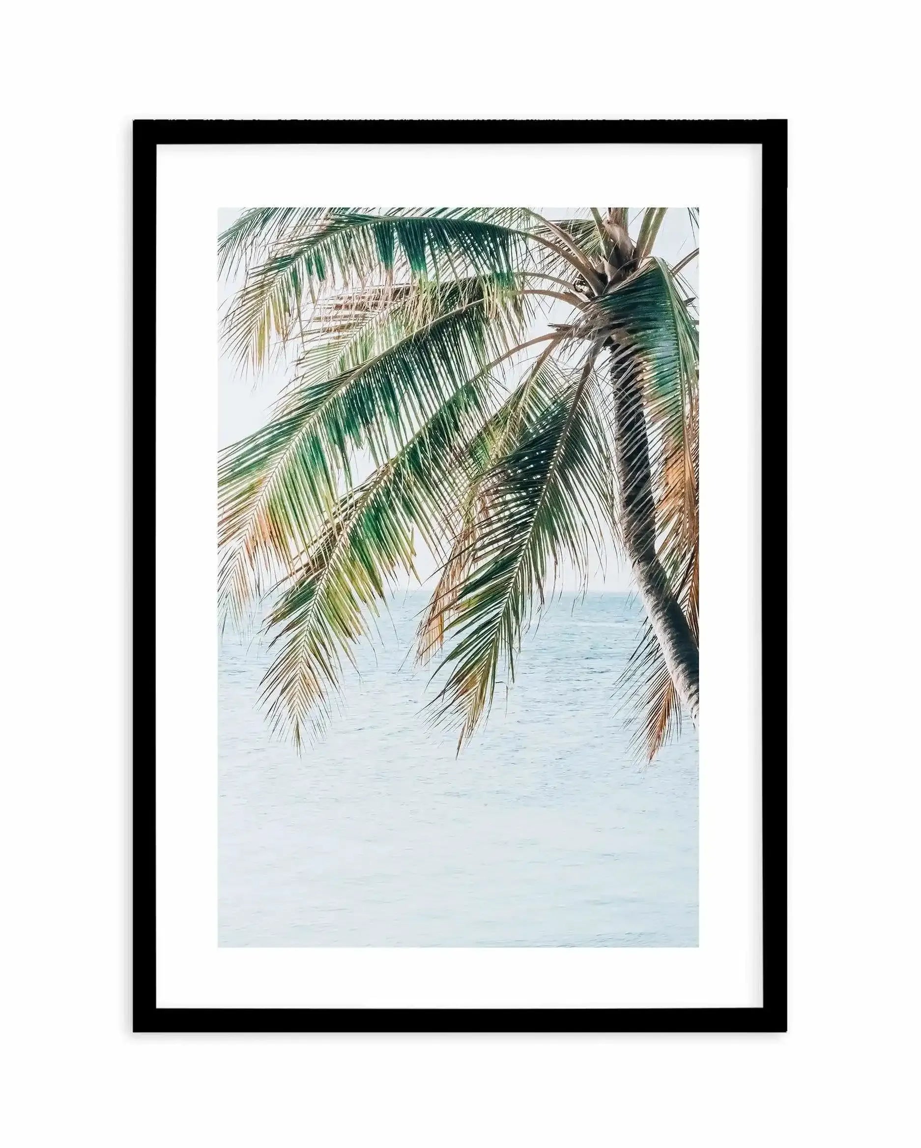 Maldivian Palm II Art Print-PRINT-Olive et Oriel-Olive et Oriel-A5 | 5.8" x 8.3" | 14.8 x 21cm-Black-With White Border-Buy-Australian-Art-Prints-Online-with-Olive-et-Oriel-Your-Artwork-Specialists-Austrailia-Decorate-With-Coastal-Photo-Wall-Art-Prints-From-Our-Beach-House-Artwork-Collection-Fine-Poster-and-Framed-Artwork
