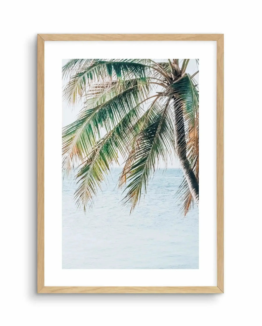 Framed art print featuring a photograph of palm fronds hanging over calm, pale blue-grey ocean water. The composition shows tropical coconut palm leaves in shades of deep green, sage green, and tan, cascading downward from the top of the frame. The water visible between the fronds is serene and still. The print is mounted in a natural wood frame with a white border.