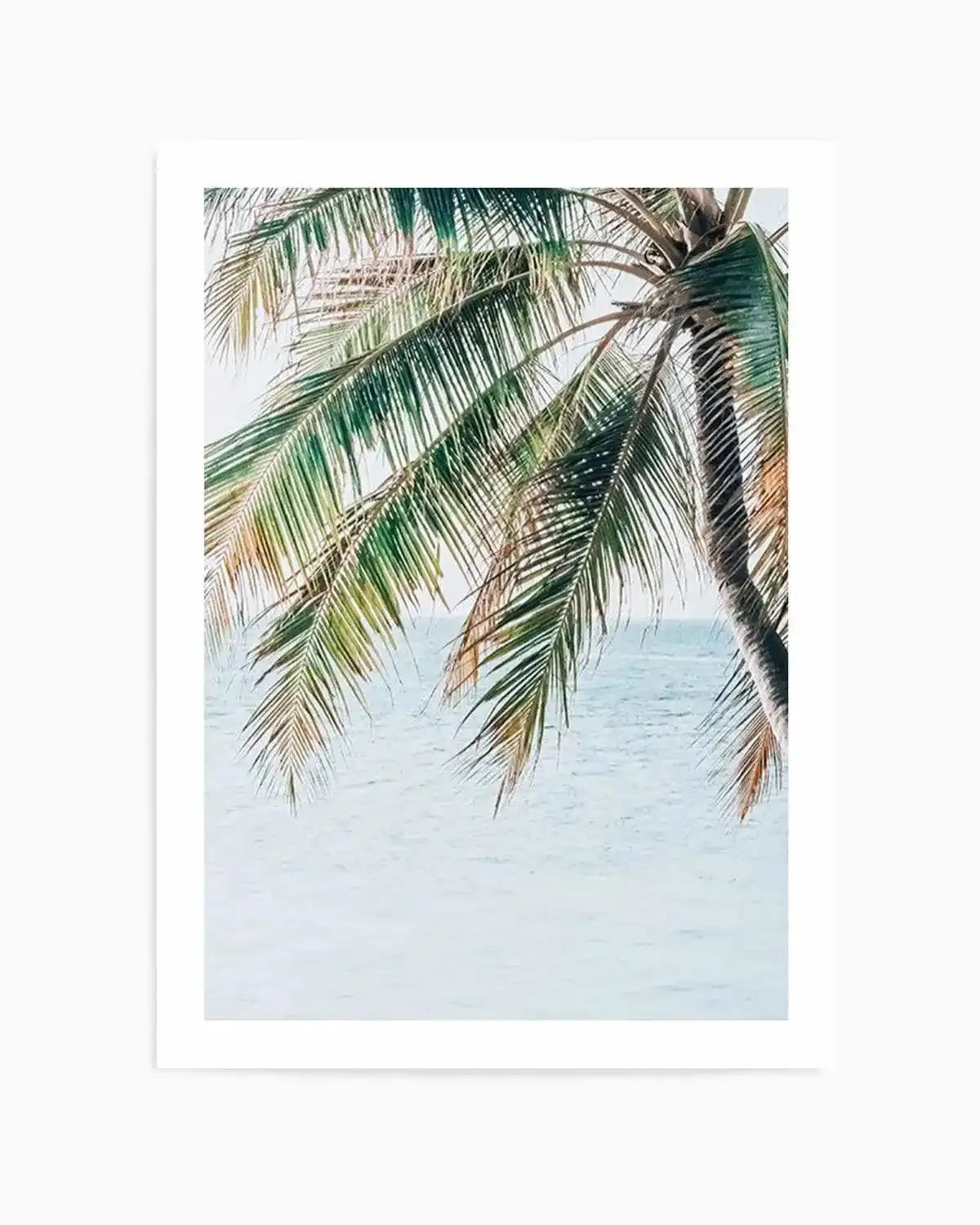 Maldivian Palm II Art Print from Olive et Oriel where you can shop wallpaper and artworks online