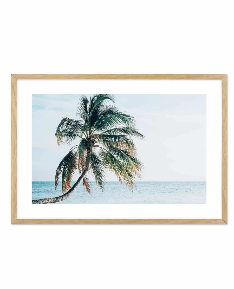 Framed art print featuring a photograph of a single palm tree leaning over turquoise ocean water. The palm tree trunk curves from lower left, displaying green and brown fronds against a pale blue sky and calm sea horizon. The image is mounted in a natural wood frame with a white border, creating a serene, tropical coastal scene.