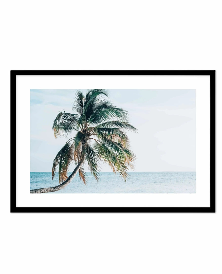 Framed art print titled Maldivian Palm featuring a photograph of a single palm tree with a curved trunk leaning toward turquoise ocean waters. The palm has green and brown fronds against a pale blue sky with soft clouds. The photograph is mounted in a black frame with a white border, displayed against a white background.