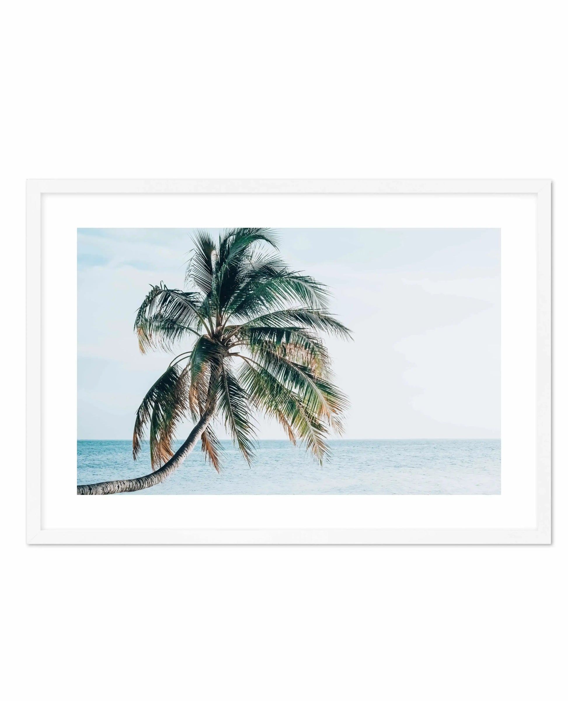 Maldivian Palm | LS Art Print-PRINT-Olive et Oriel-Olive et Oriel-A5 | 5.8" x 8.3" | 14.8 x 21cm-White-With White Border-Buy-Australian-Art-Prints-Online-with-Olive-et-Oriel-Your-Artwork-Specialists-Austrailia-Decorate-With-Coastal-Photo-Wall-Art-Prints-From-Our-Beach-House-Artwork-Collection-Fine-Poster-and-Framed-Artwork