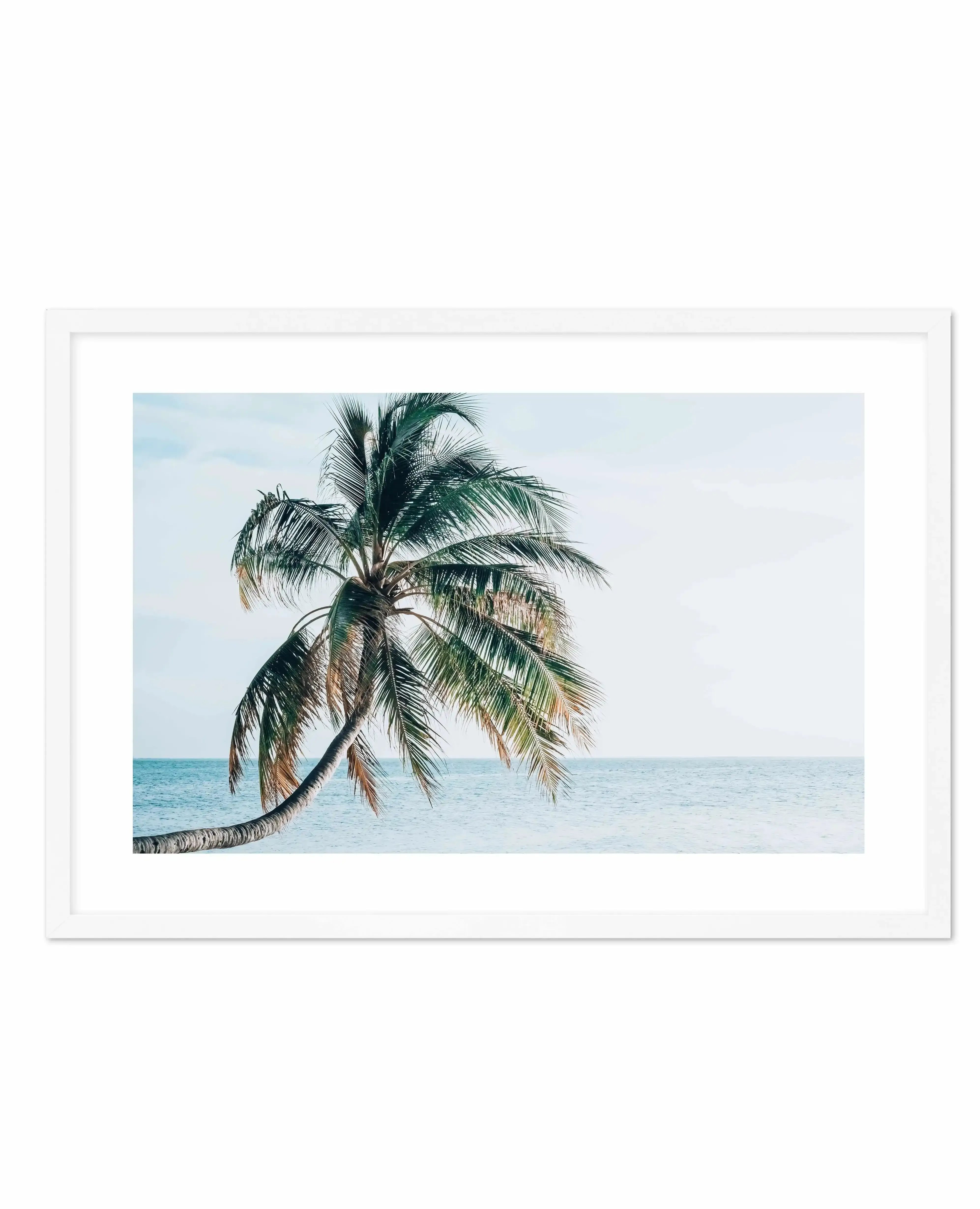 Maldivian Palm | LS Art Print-PRINT-Olive et Oriel-Olive et Oriel-A5 | 5.8" x 8.3" | 14.8 x 21cm-White-With White Border-Buy-Australian-Art-Prints-Online-with-Olive-et-Oriel-Your-Artwork-Specialists-Austrailia-Decorate-With-Coastal-Photo-Wall-Art-Prints-From-Our-Beach-House-Artwork-Collection-Fine-Poster-and-Framed-Artwork