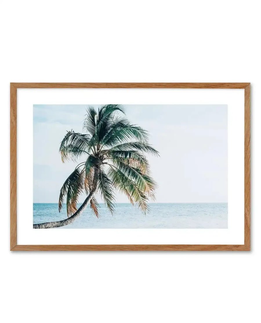 Framed art print featuring a photograph of a single palm tree with a curved trunk leaning toward the right, displaying green fronds with some brown and tan-colored dried leaves. The tree extends from the lower left portion of the composition against a serene seascape of pale turquoise water meeting a soft gray-blue sky. The photograph is mounted with a white border in a natural wood frame.