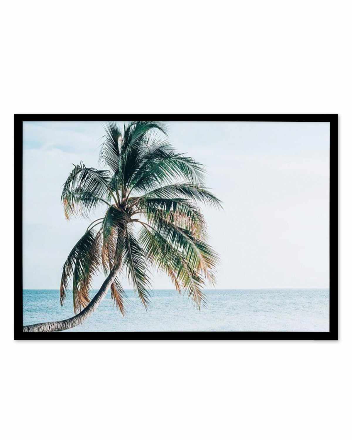 Maldivian Palm | LS Art Print