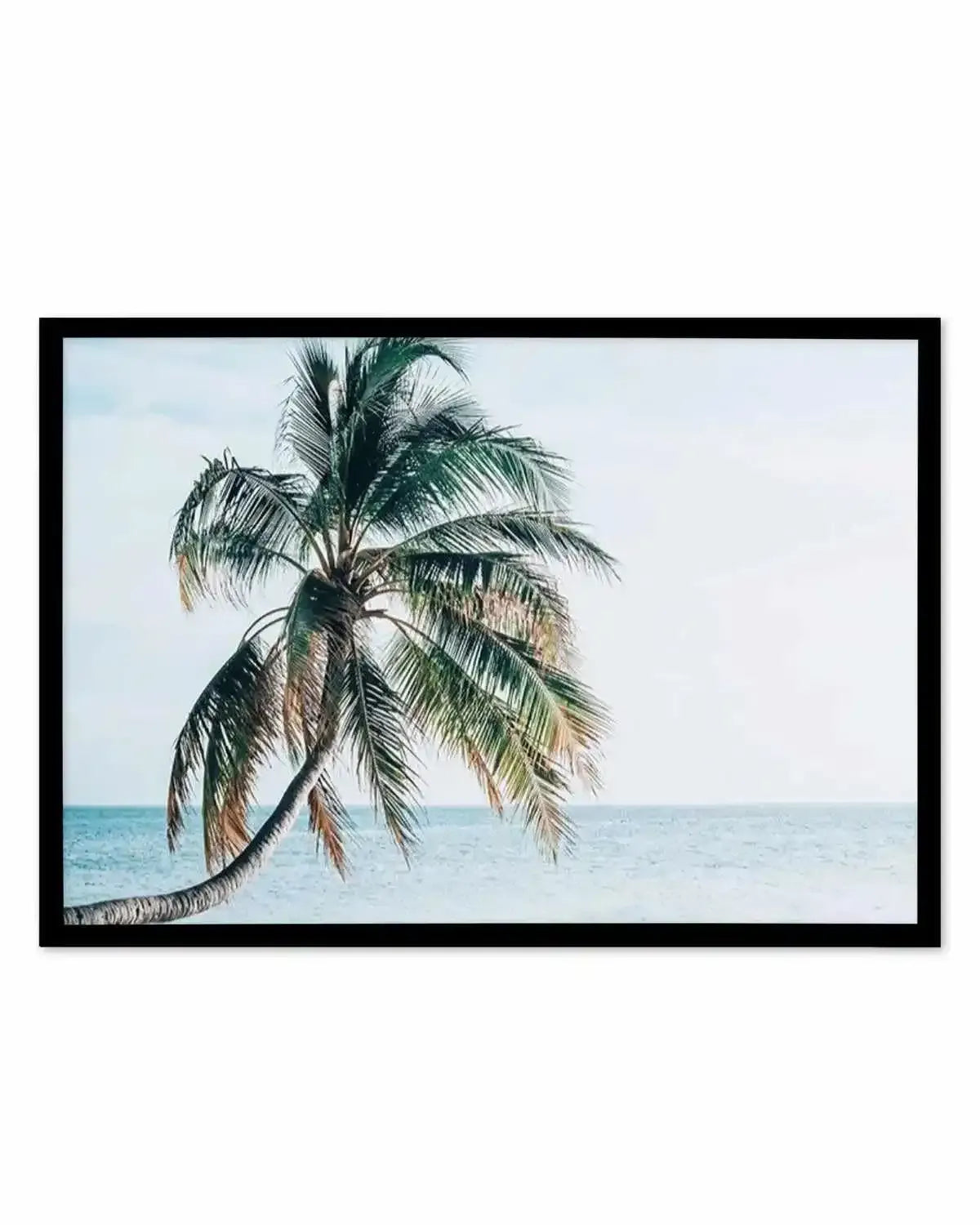 Maldivian Palm | LS Art Print from Olive et Oriel where you can shop wallpaper and artworks online