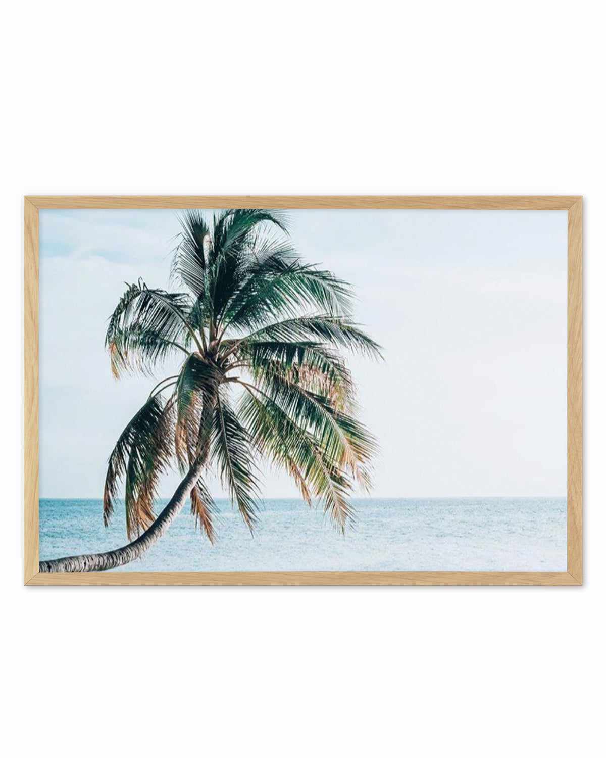 Maldivian Palm | LS Art Print