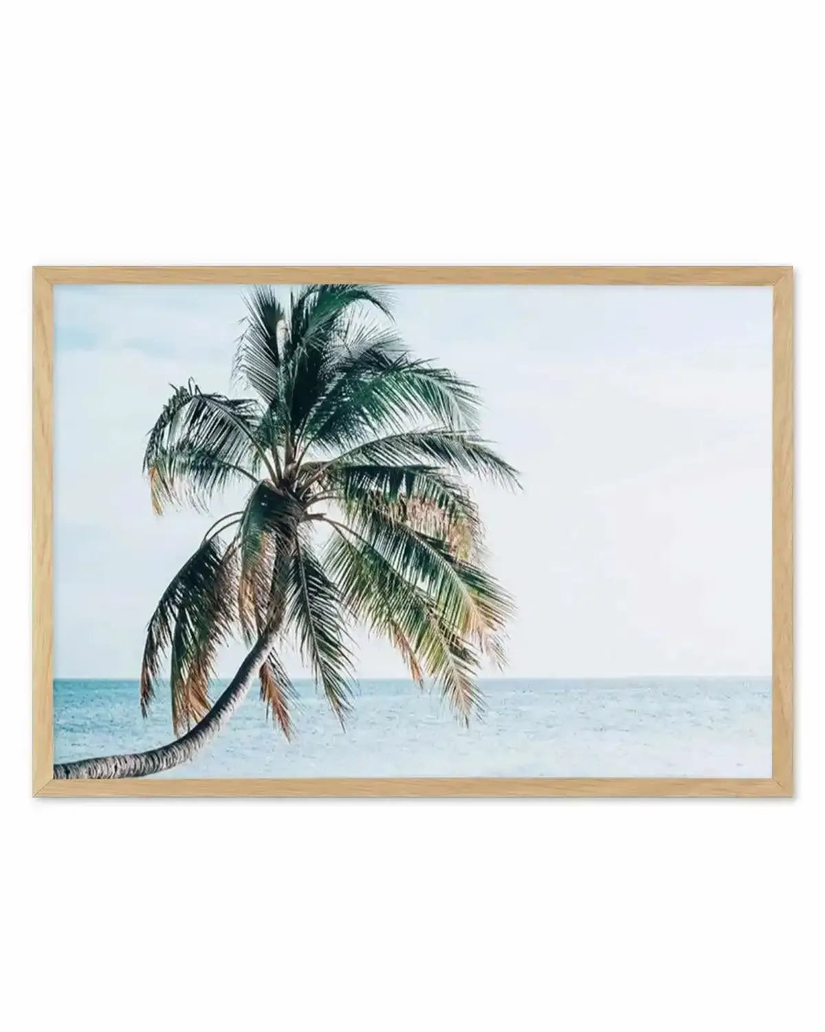 Maldivian Palm | LS Art Print from Olive et Oriel where you can shop wallpaper and artworks online