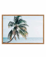 Maldivian Palm | LS Art Print