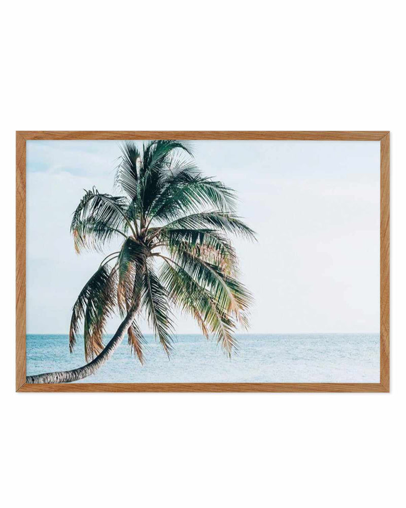 SHOP Maldivian Palm LS | Bent Palm Tree Art Print or Poster. – Olive et ...