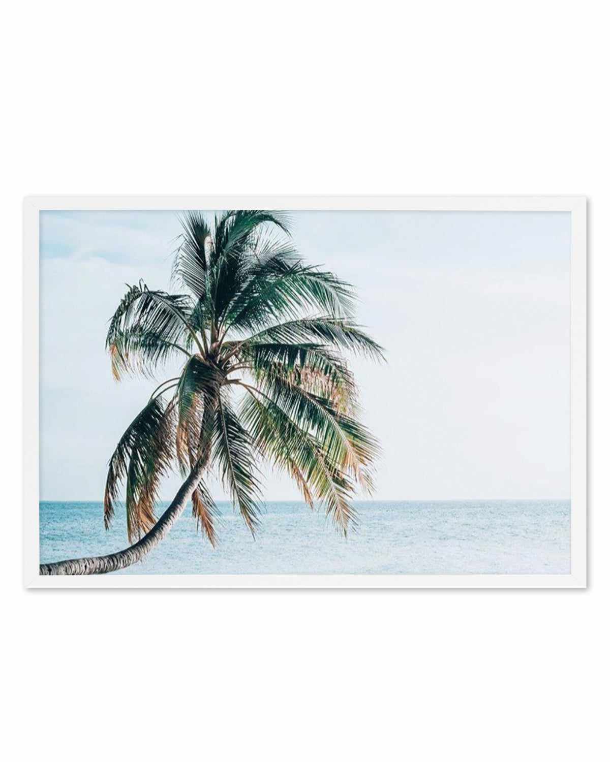 Maldivian Palm | LS Art Print