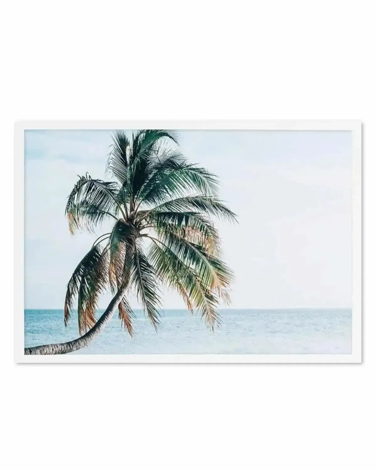 Maldivian Palm | LS Art Print from Olive et Oriel where you can shop wallpaper and artworks online