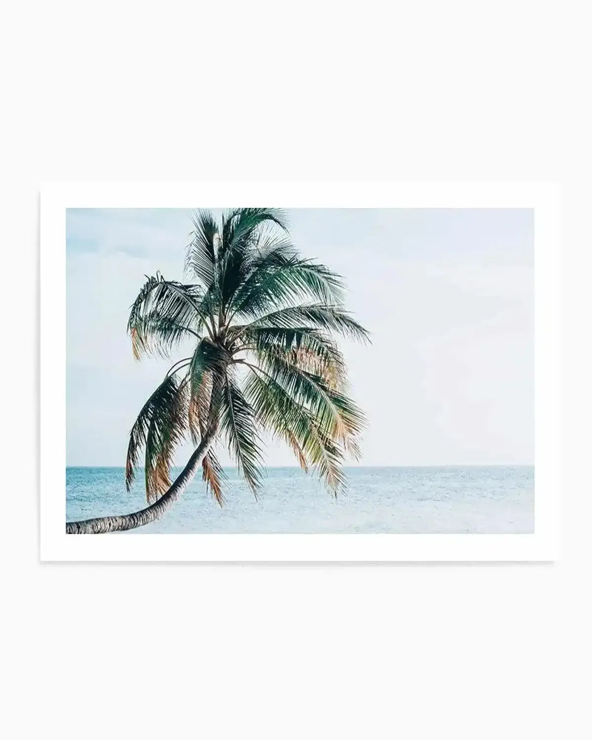 Maldivian Palm | LS Art Print from Olive et Oriel where you can shop wallpaper and artworks online