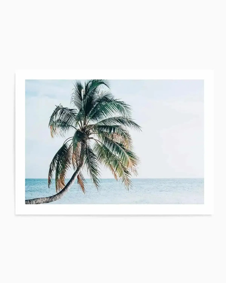 Maldivian Palm | LS Art Print from Olive et Oriel where you can shop wallpaper and artworks online