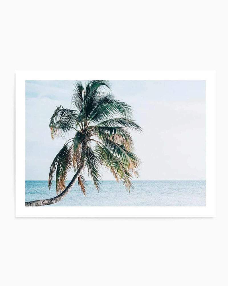 Maldivian Palm | LS Art Print