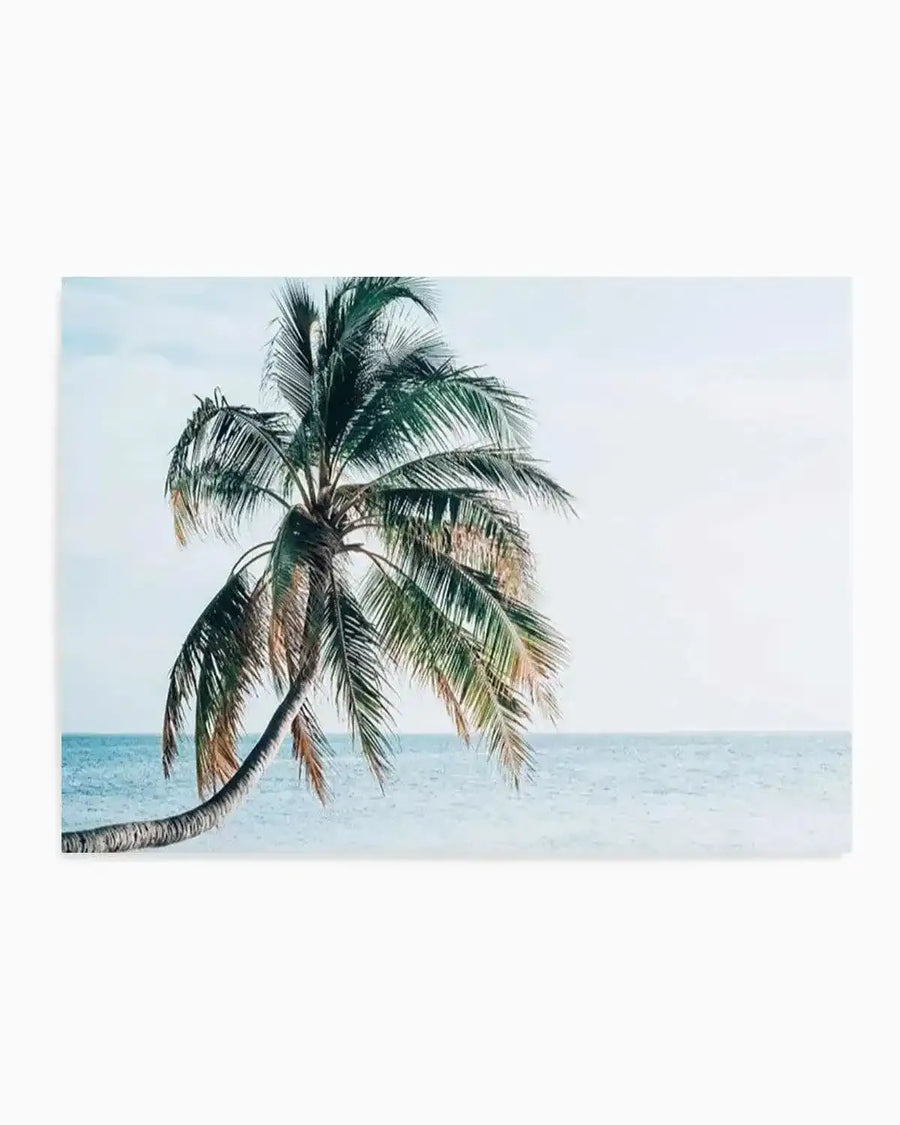 Maldivian Palm art print featuring a single palm tree with curved trunk leaning toward the right, displaying green and brown fronds against a soft turquoise ocean horizon and pale blue sky. The photograph-style artwork has a serene, minimalist composition with the palm occupying the left portion of the frame, creating a peaceful tropical beach scene with subtle, muted tones throughout.