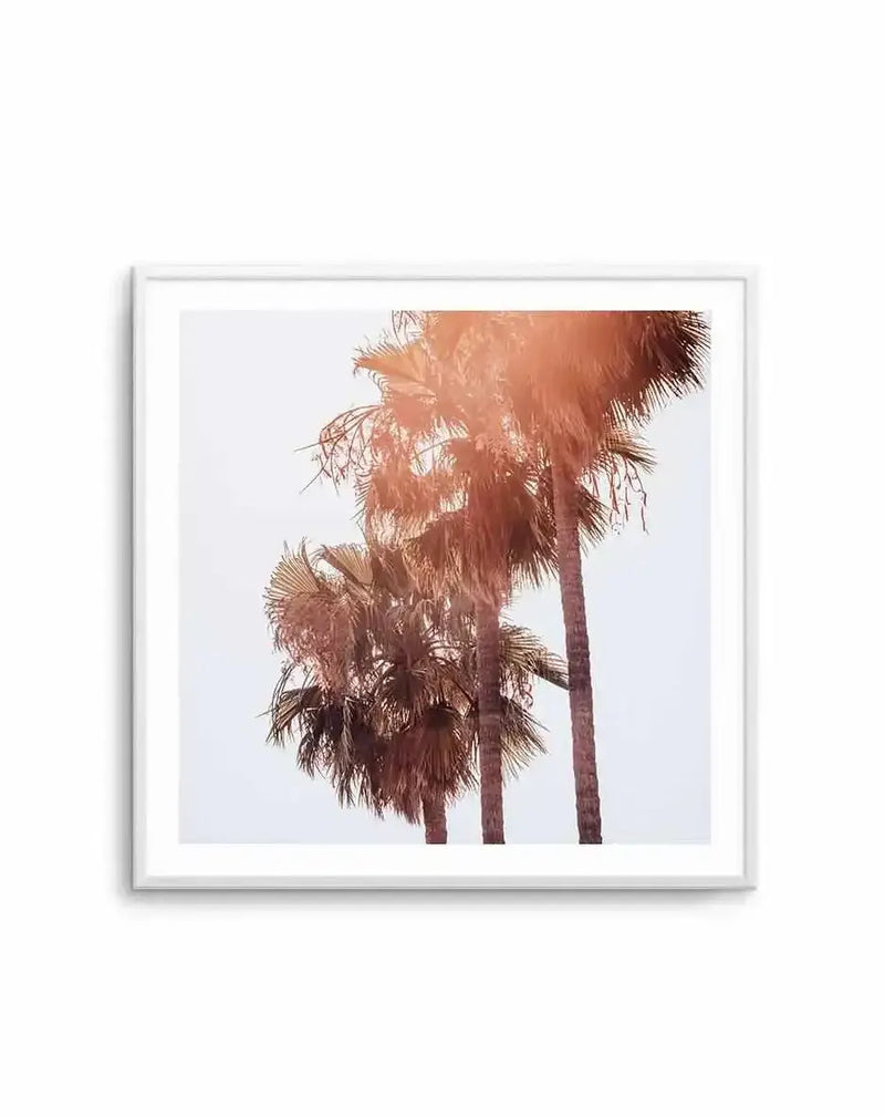 Malibu Palms Square Art Print framed in white, featuring a photograph of three tall palm trees with feathery fronds shot from below against a pale sky. The palm trunks are rendered in warm terracotta and brown tones with a soft, hazy quality. The composition is vertical and centered, with delicate palm fronds creating wispy silhouettes at the top. A white border surrounds the artwork within the frame.