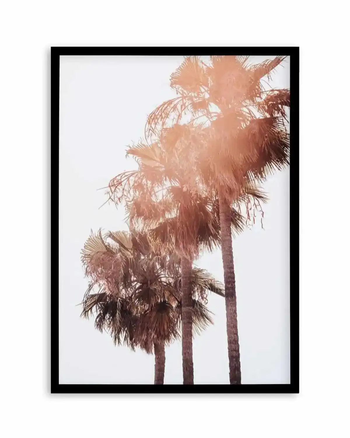 Malibu Palms | PT Art Print from Olive et Oriel where you can shop wallpaper and artworks online