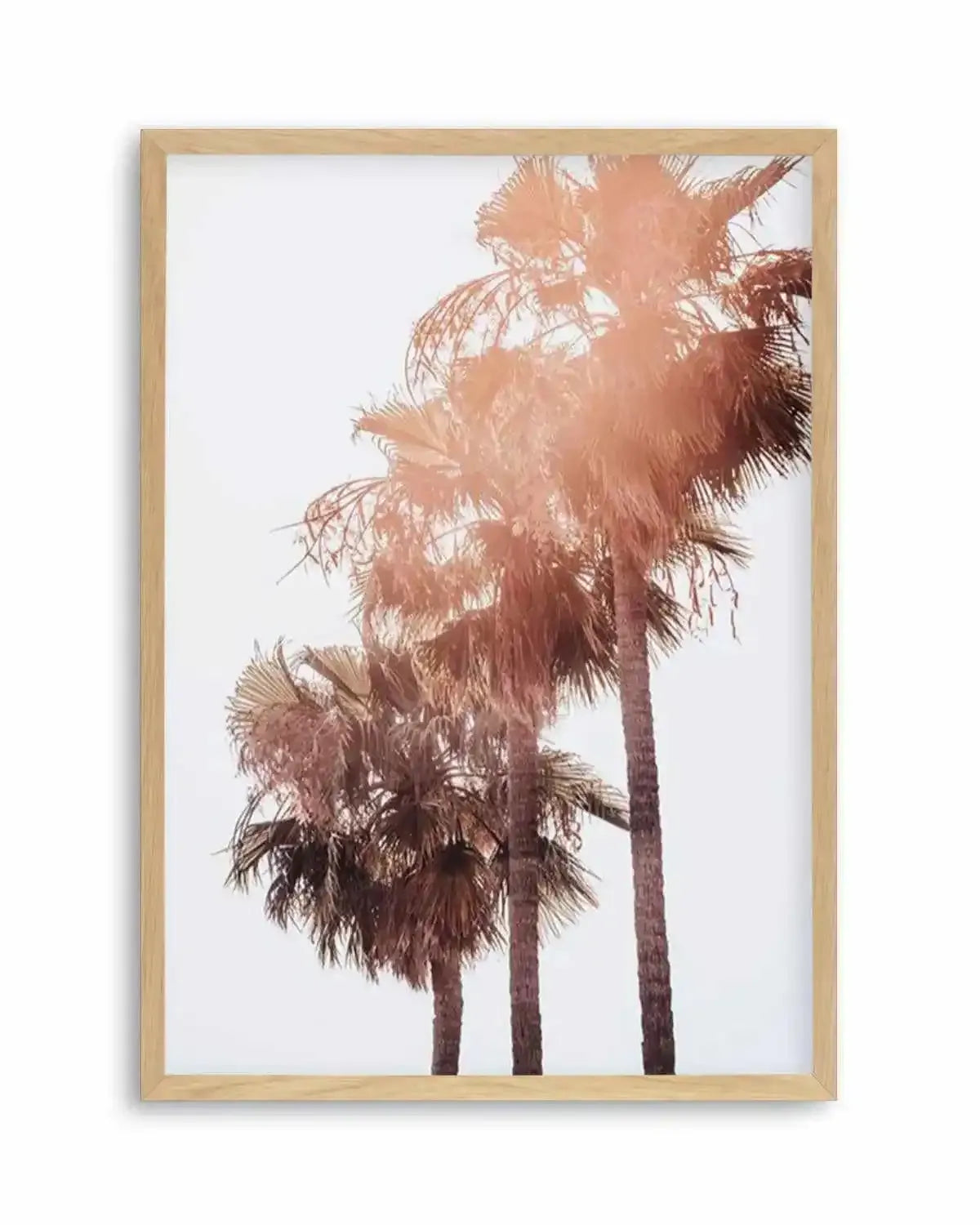 Malibu Palms | PT Art Print from Olive et Oriel where you can shop wallpaper and artworks online