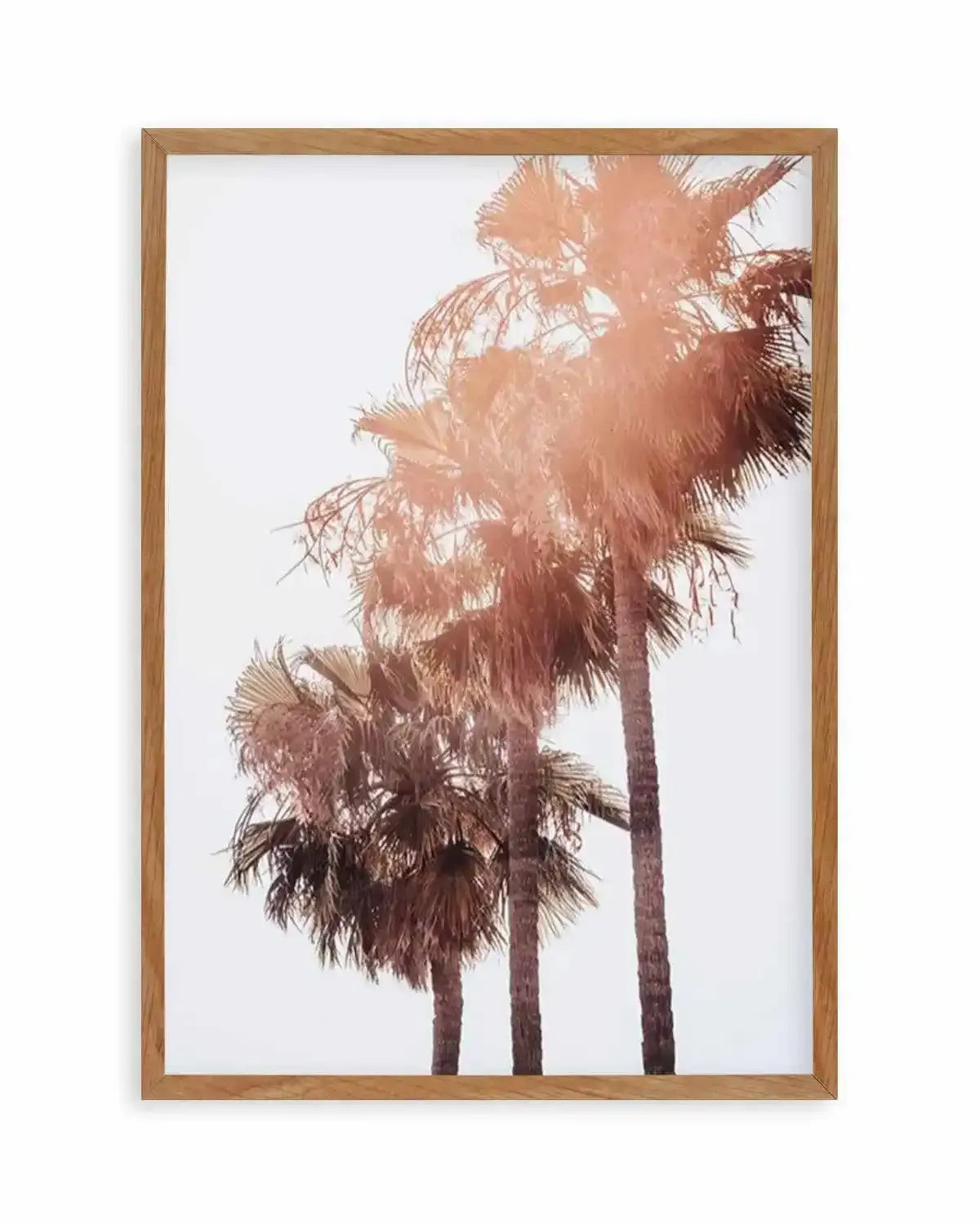 Malibu Palms | PT Art Print from Olive et Oriel where you can shop wallpaper and artworks online