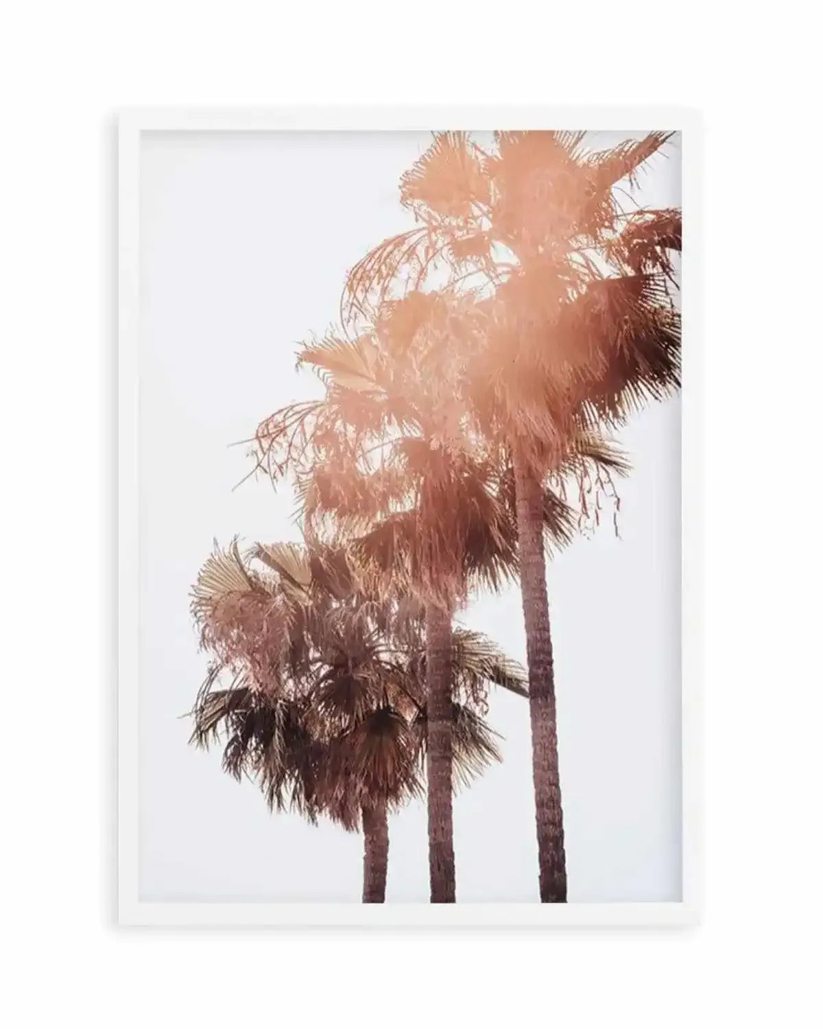 Malibu Palms | PT Art Print from Olive et Oriel where you can shop wallpaper and artworks online