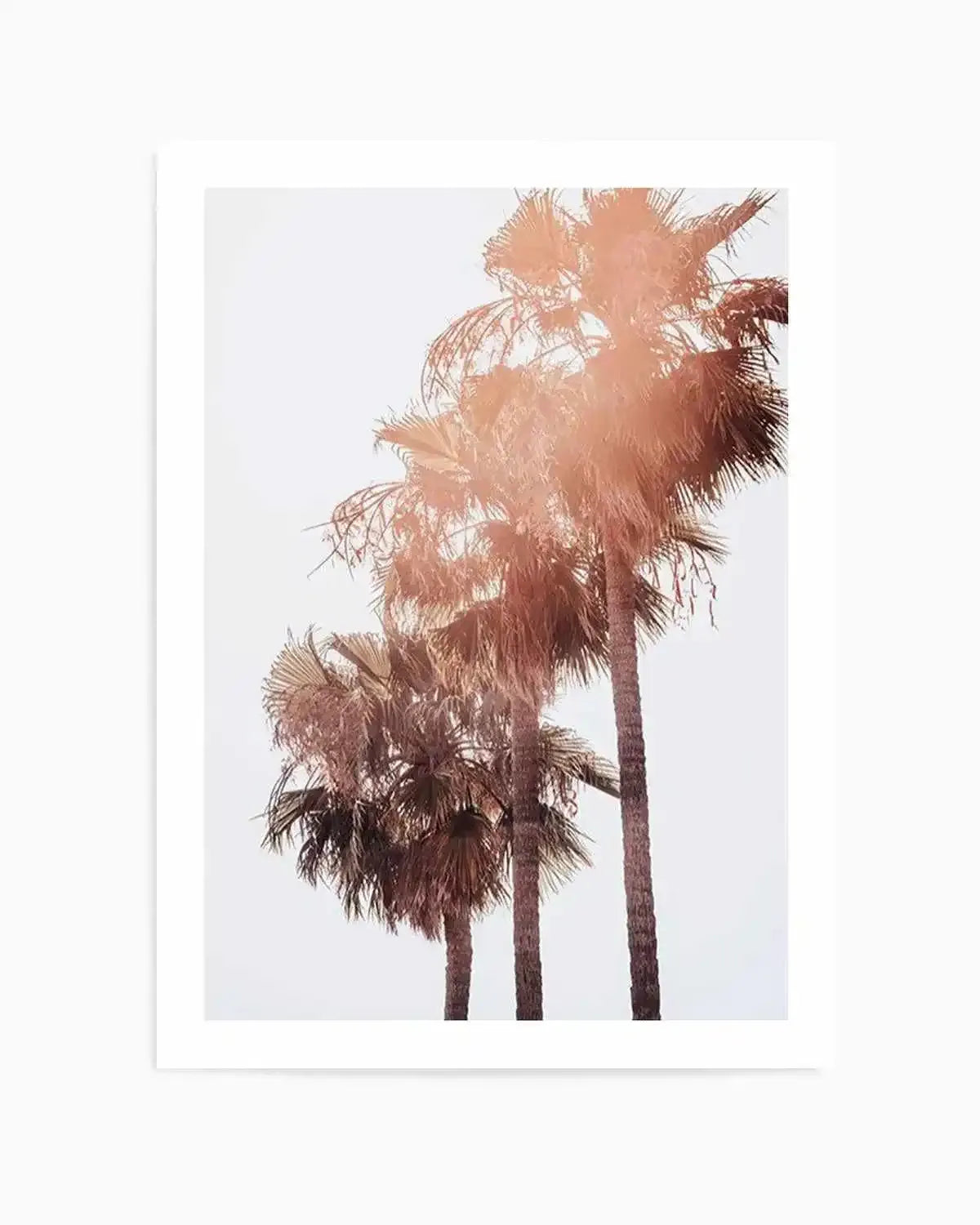 Malibu Palms | PT Art Print from Olive et Oriel where you can shop wallpaper and artworks online