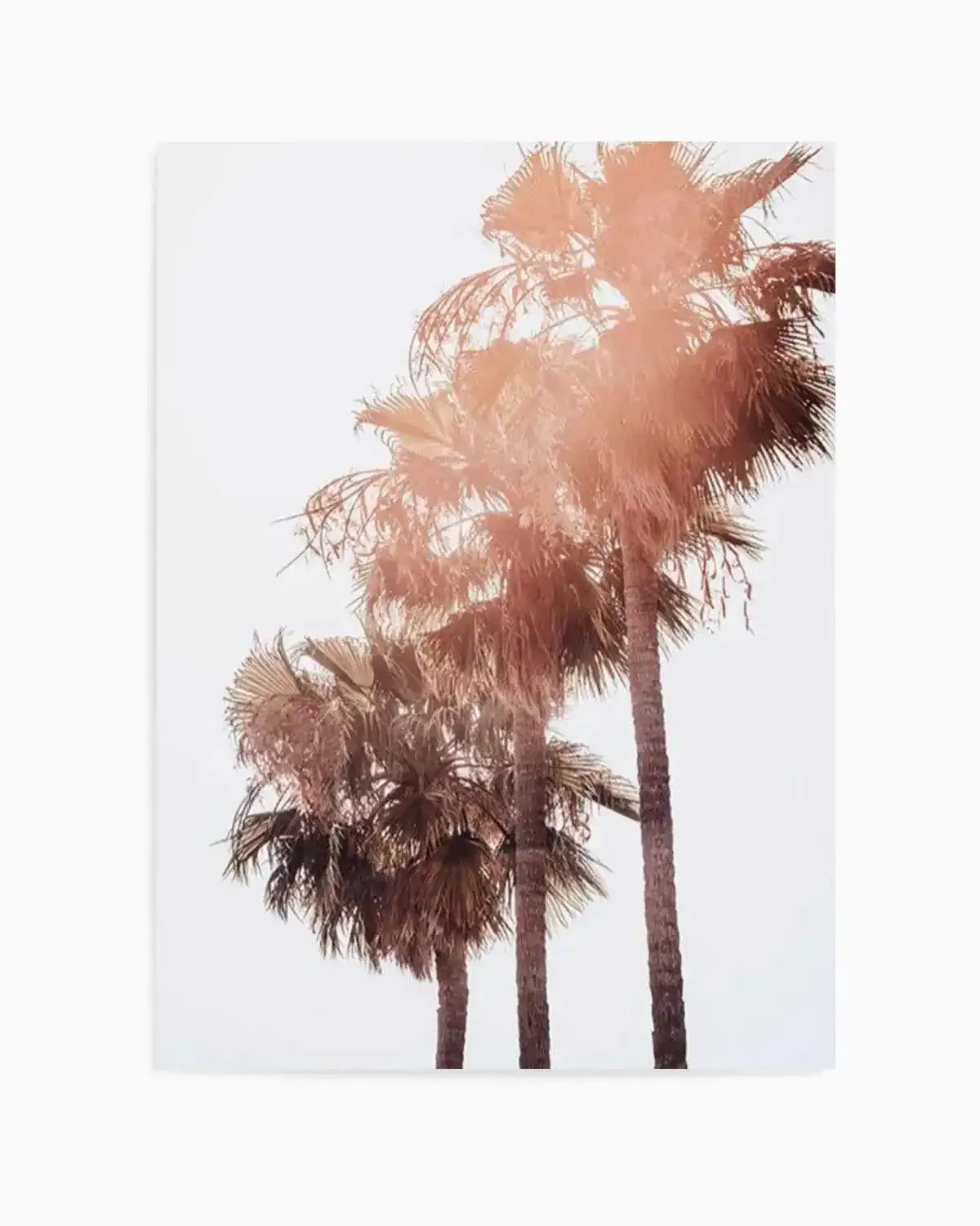 Malibu Palms | PT Art Print from Olive et Oriel where you can shop wallpaper and artworks online