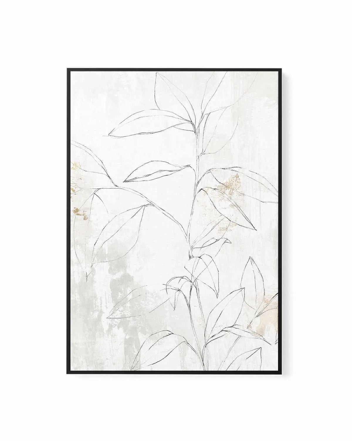 Mandola II | Framed Canvas Art Print from Olive et Oriel where you can shop wallpaper and artworks online