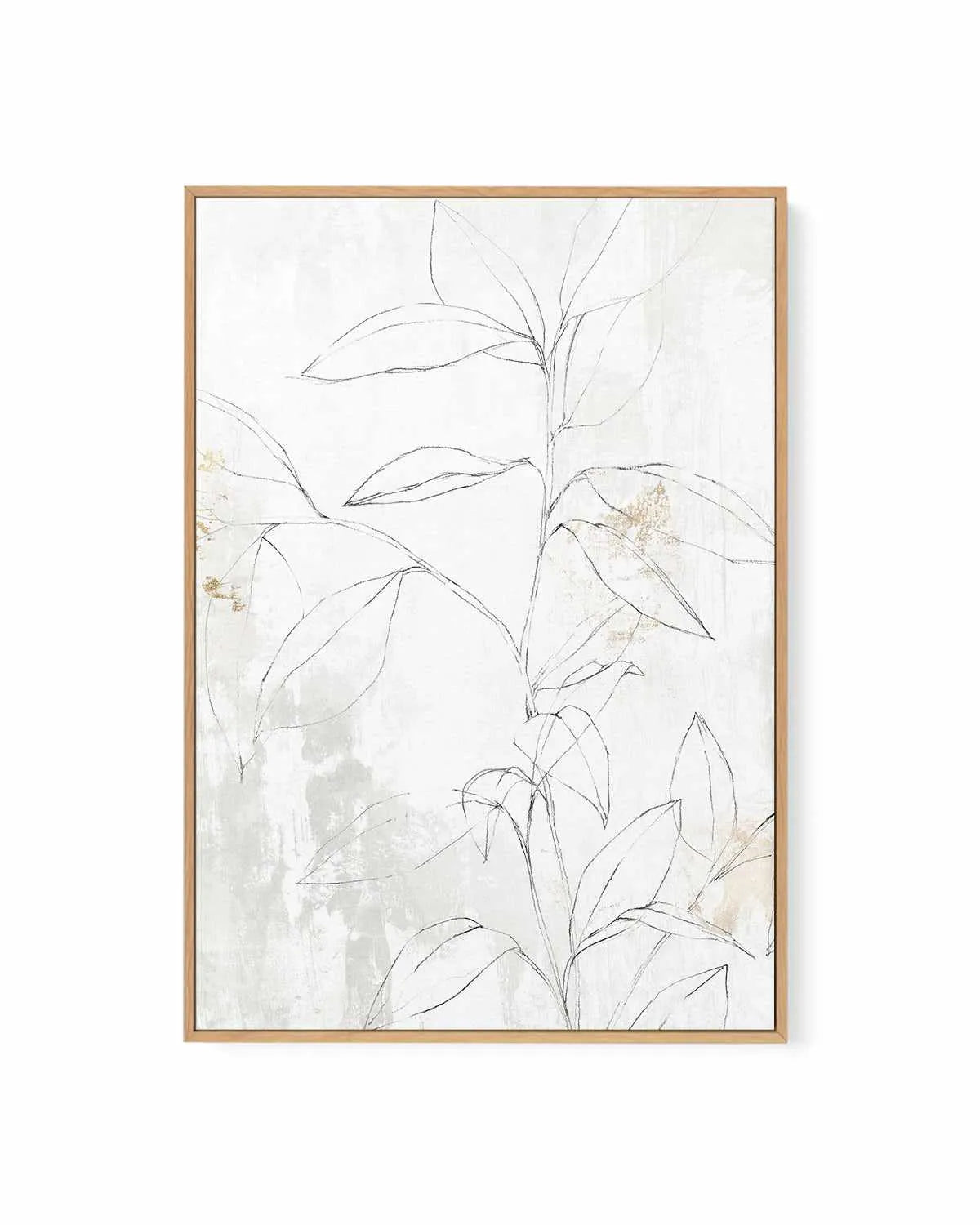 Mandola II | Framed Canvas Art Print from Olive et Oriel where you can shop wallpaper and artworks online