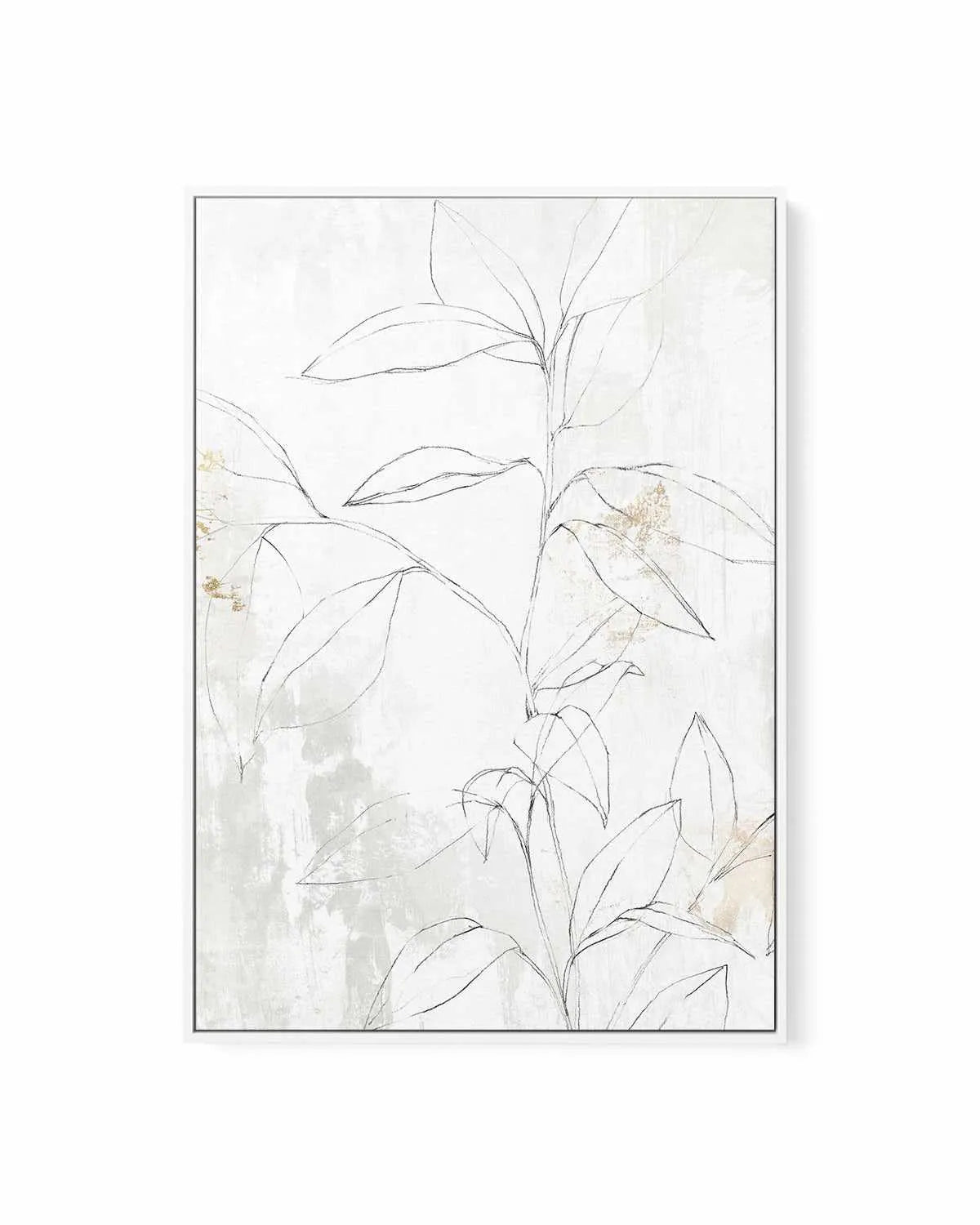 Mandola II | Framed Canvas Art Print from Olive et Oriel where you can shop wallpaper and artworks online