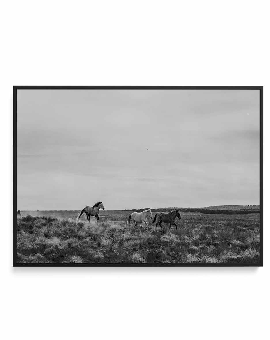 Master of The Band by Rylee Olsen | Framed Canvas Art Print from Olive et Oriel where you can shop wallpaper and artworks online