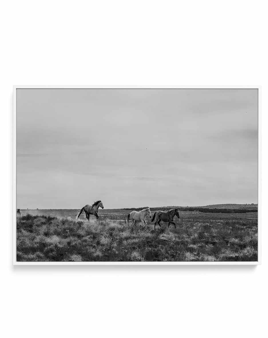 Master of The Band by Rylee Olsen | Framed Canvas Art Print from Olive et Oriel where you can shop wallpaper and artworks online