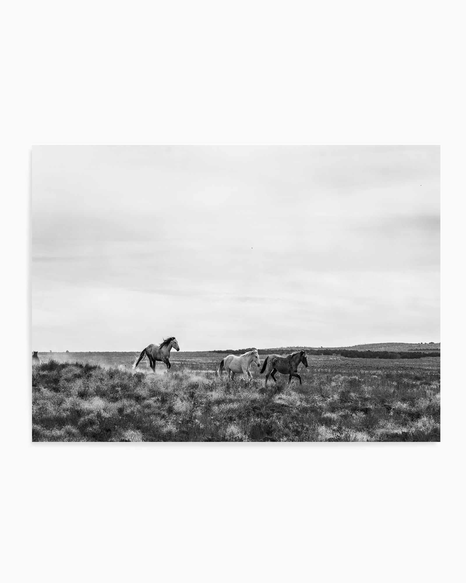 Master of The Band by Rylee Olsen | Art Print from Olive et Oriel where you can shop wallpaper and artworks online