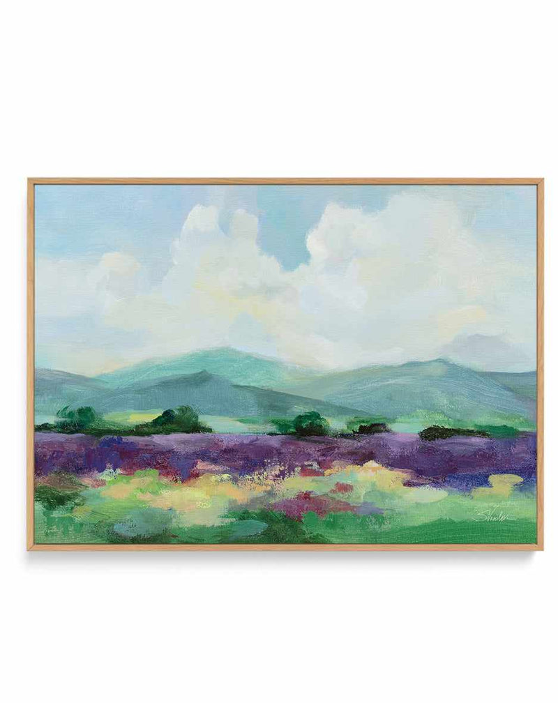 May Lavender Field II | Framed Canvas Art Print