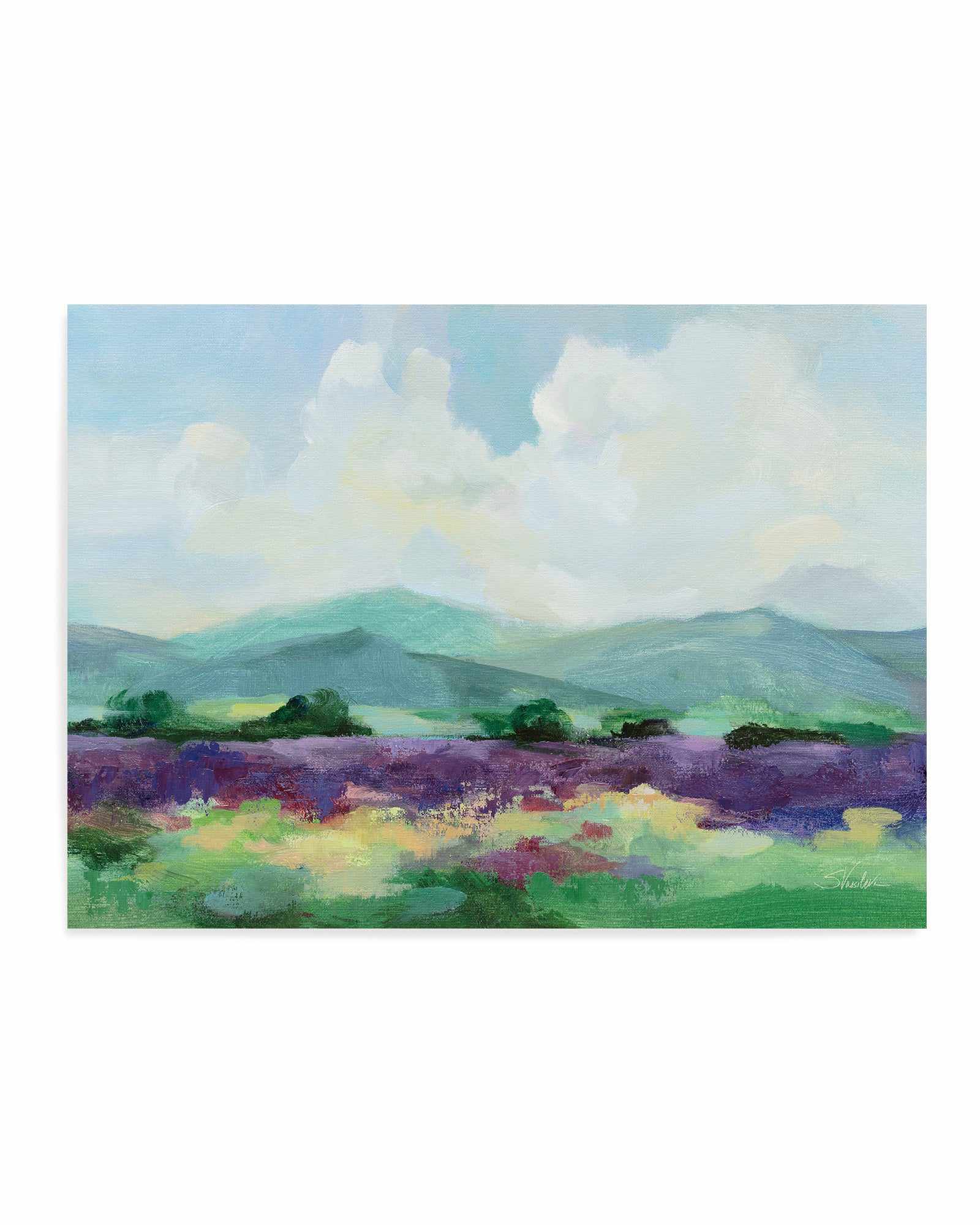 May Lavender Field II | Art Print