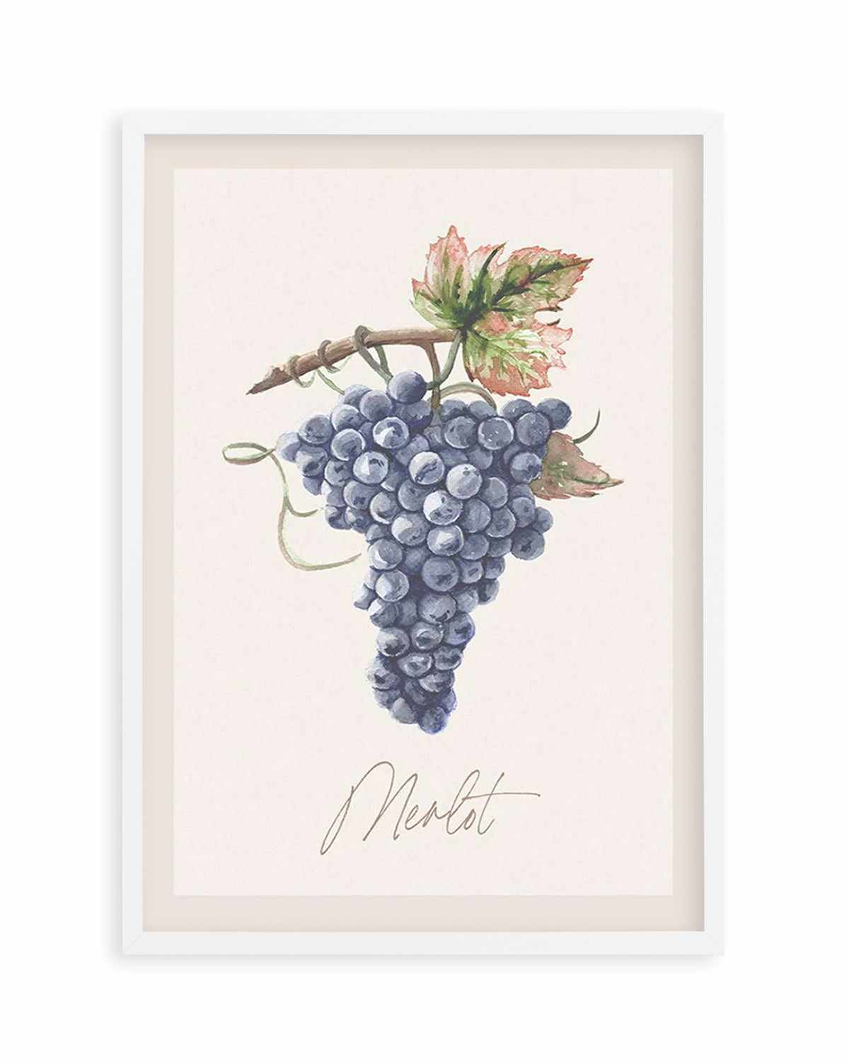 Merlot Art Print