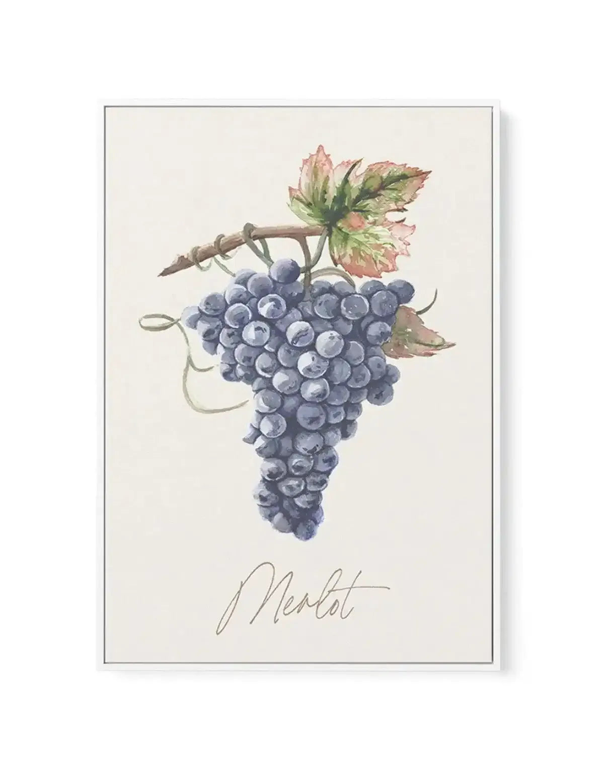 Merlot | Framed Canvas-CANVAS-You can shop wall art online with Olive et Oriel for everything from abstract art to fun kids wall art. Our beautiful modern art prints and canvas art are available from large canvas prints to wall art paintings and our proudly Australian artwork collection offers only the highest quality framed large wall art and canvas art Australia - You can buy fashion photography prints or Hampton print posters and paintings on canvas from Olive et Oriel and have them delivered