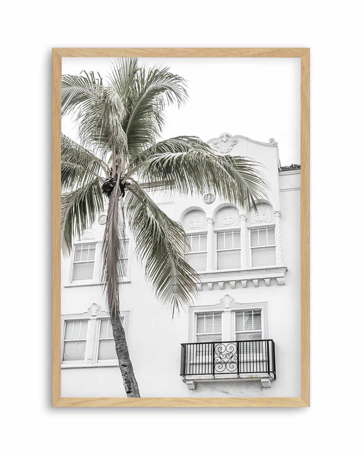 Miami Palm Art Print