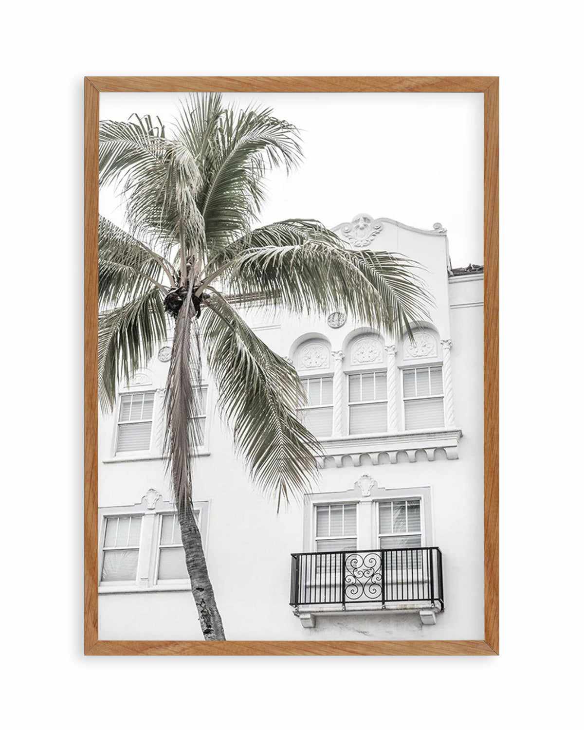 Miami Palm Art Print