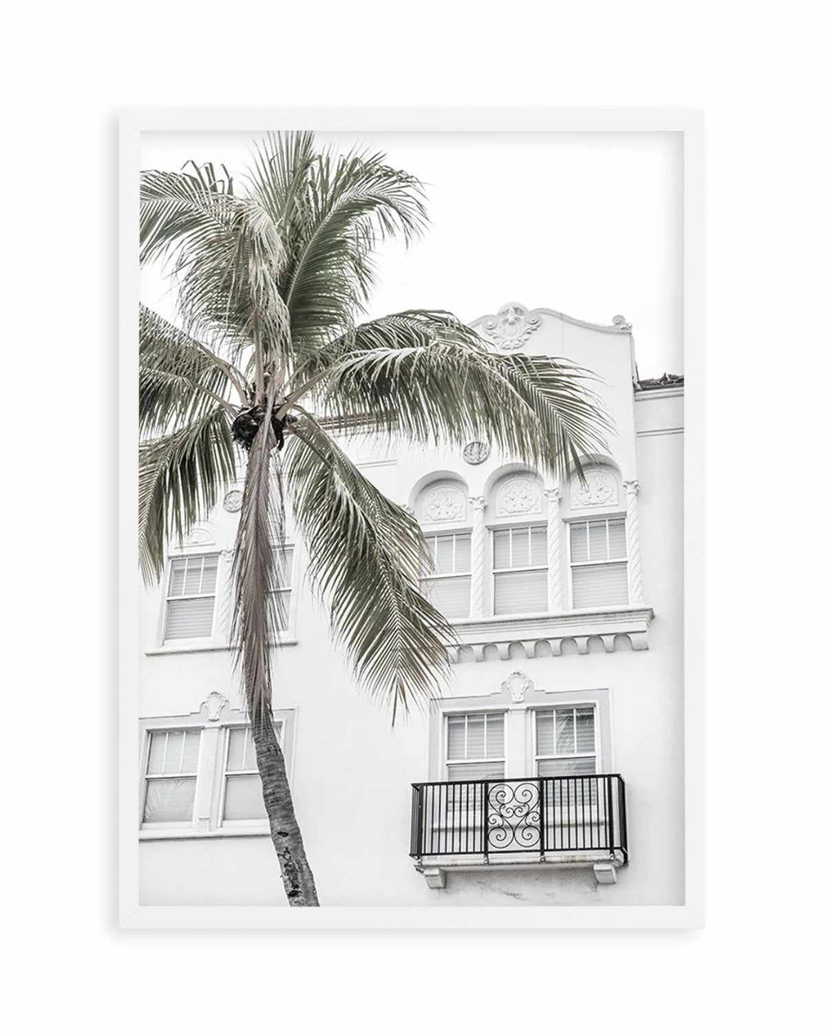 Miami Palm Art Print