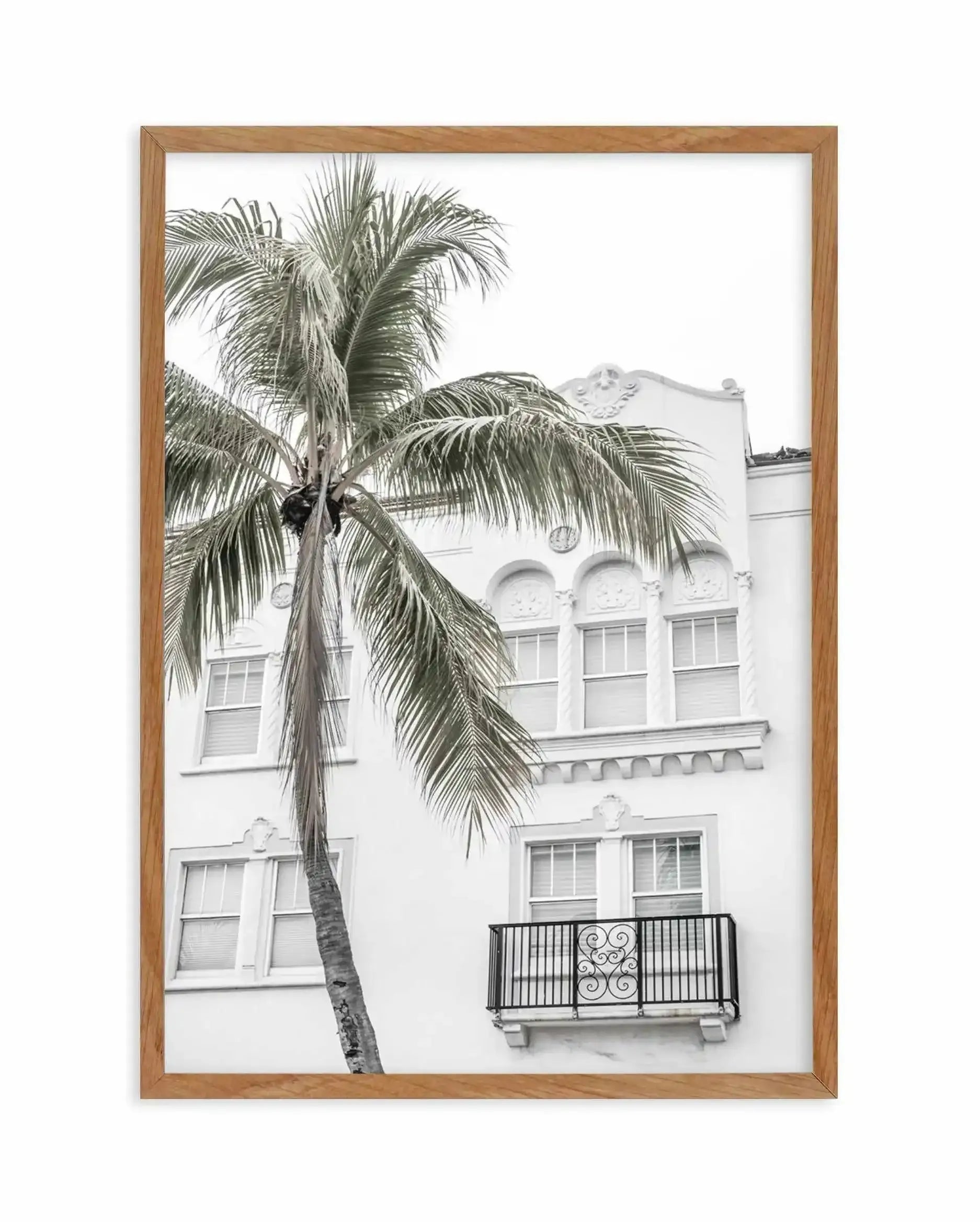 Miami Palm Art Print-PRINT-Olive et Oriel-Olive et Oriel-Buy-Australian-Art-Prints-Online-with-Olive-et-Oriel-Your-Artwork-Specialists-Austrailia-Decorate-With-Coastal-Photo-Wall-Art-Prints-From-Our-Beach-House-Artwork-Collection-Fine-Poster-and-Framed-Artwork
