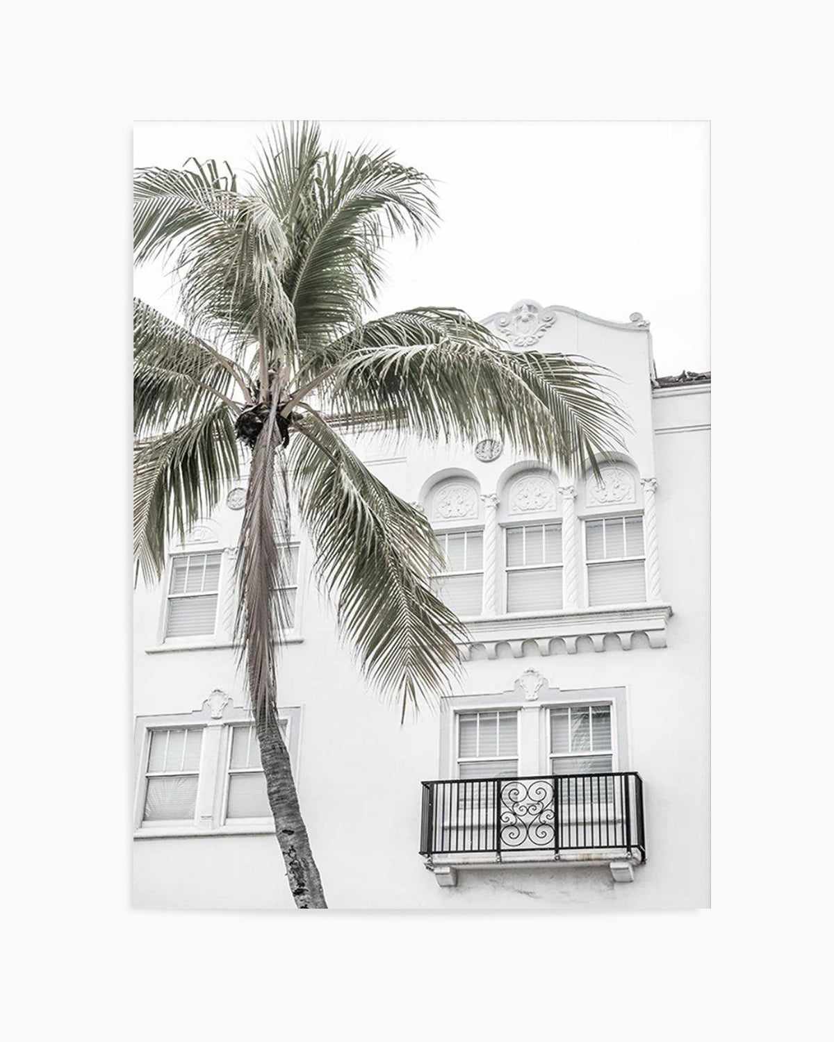 Miami Palm Art Print