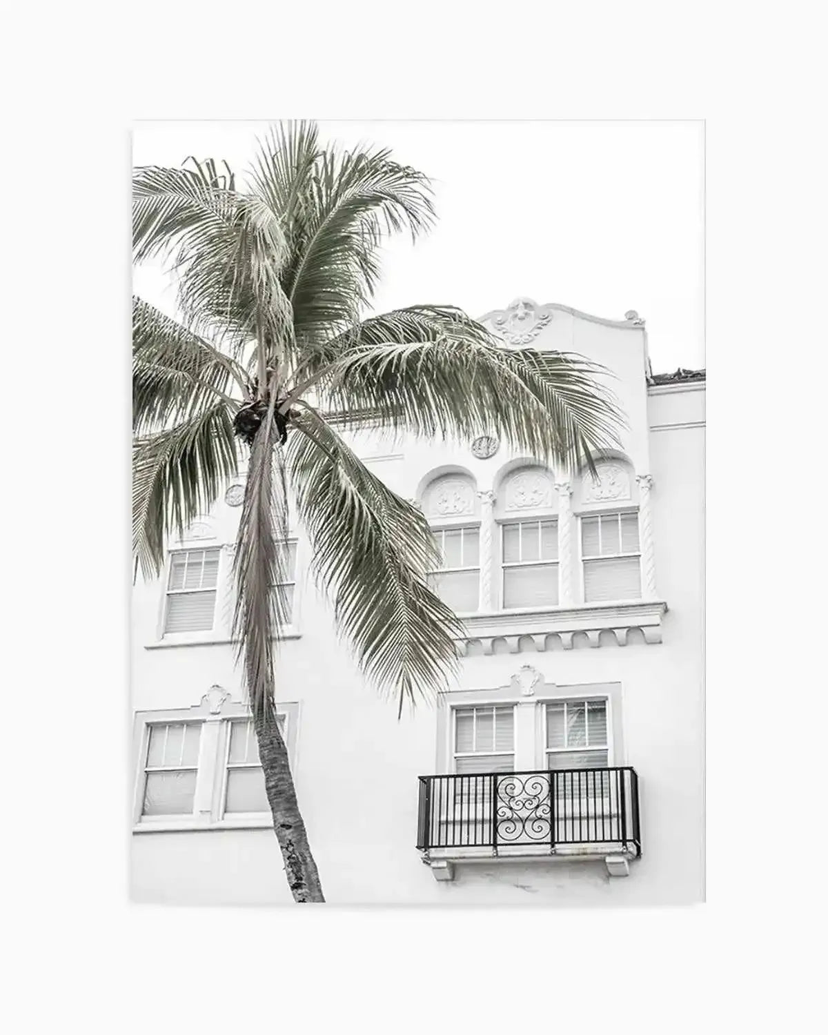 Miami Palm Art Print from Olive et Oriel where you can shop wallpaper and artworks online